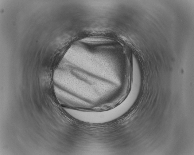 X0000088361300200706121045