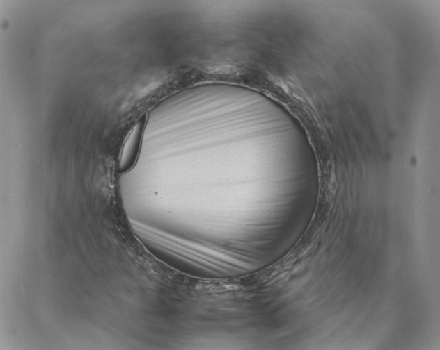 X0000088361301200706121045