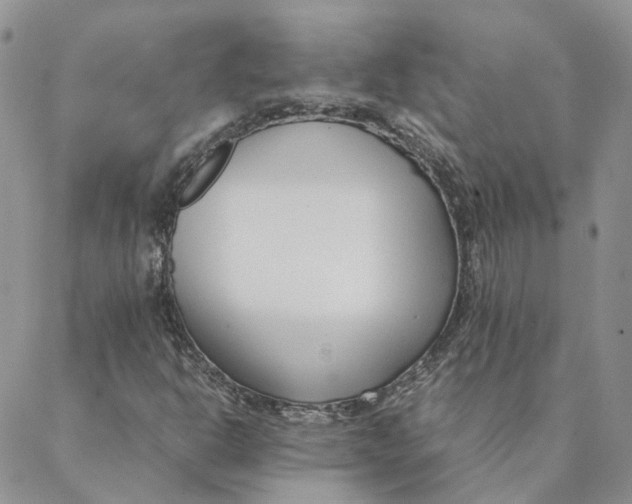 X0000088361302200706121045