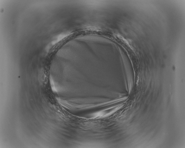 X0000088361303200706121045