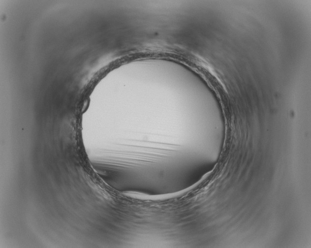 X0000088361304200706121045