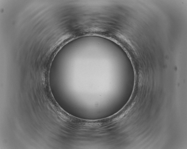 X0000088361305200706121045