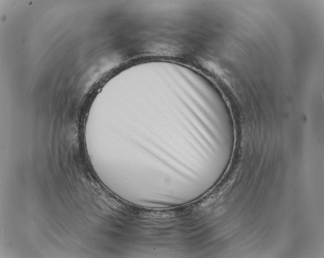 X0000088361307200706121045