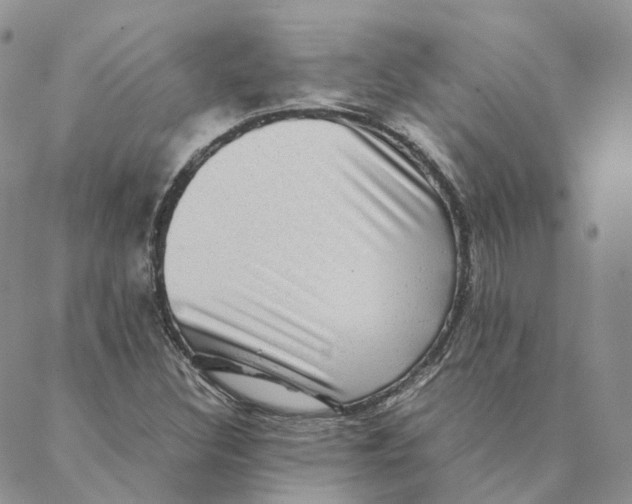 X0000088361308200706121045