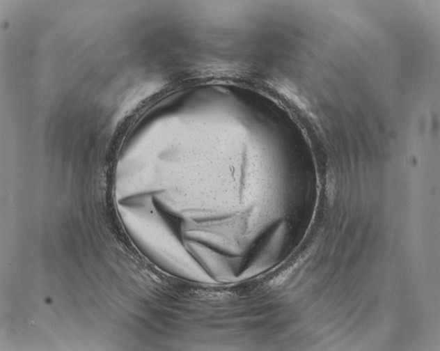 X0000088361309200706121045