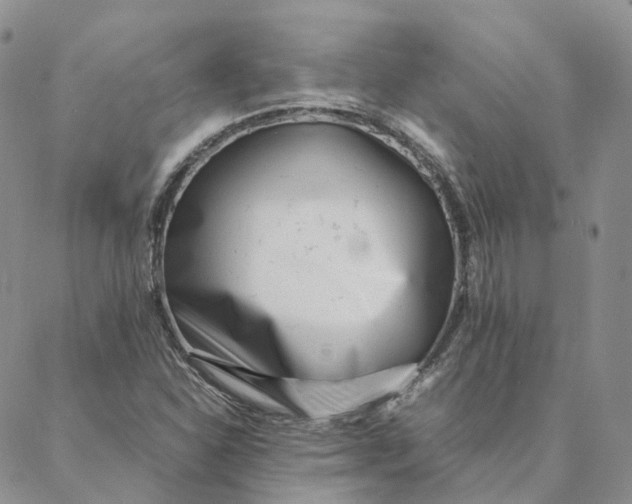 X0000088361310200706121045