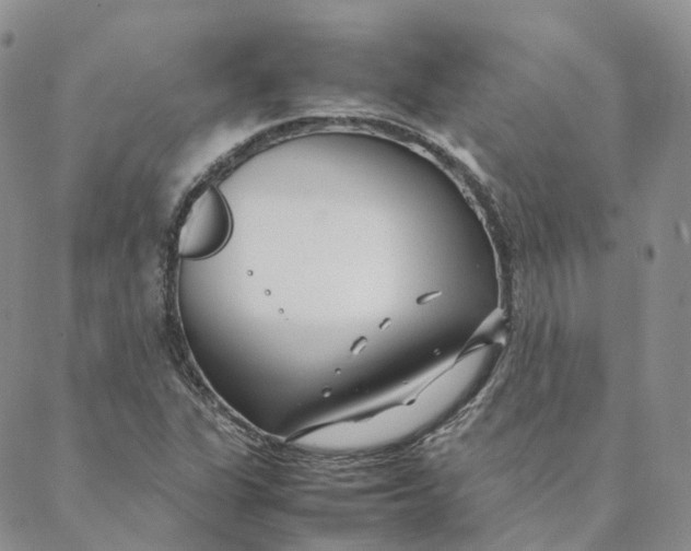 X0000088361311200706121045