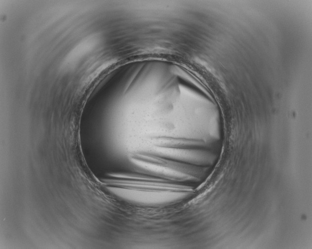 X0000088361313200706121045