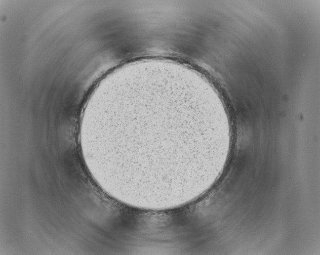 X0000088361314200706121045