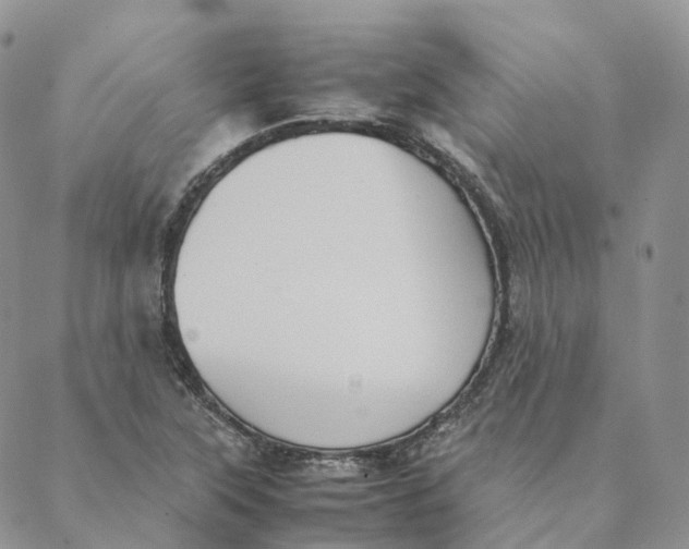 X0000088361315200706121045