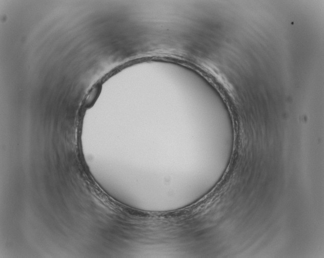 X0000088361316200706121045