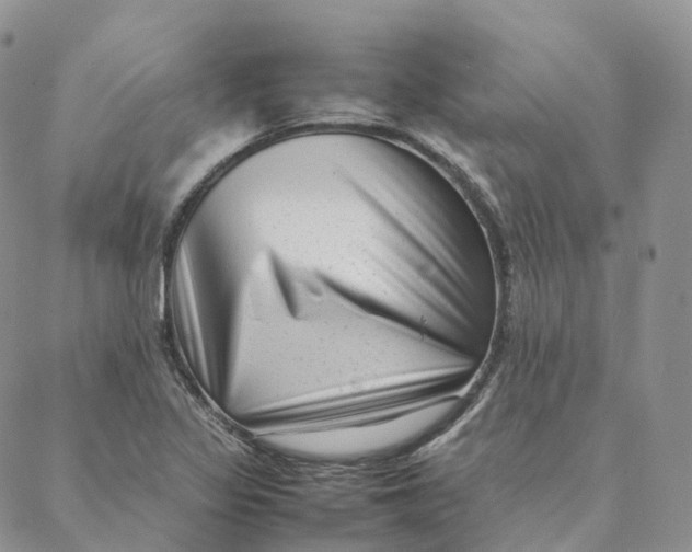 X0000088361317200706121045