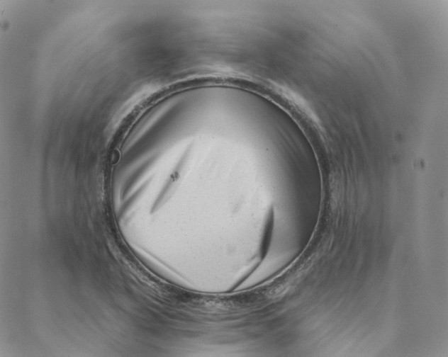 X0000088361318200706121045