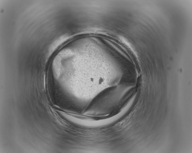 X0000088361320200706121045