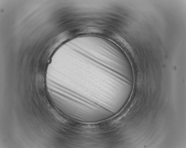 X0000088361321200706121045