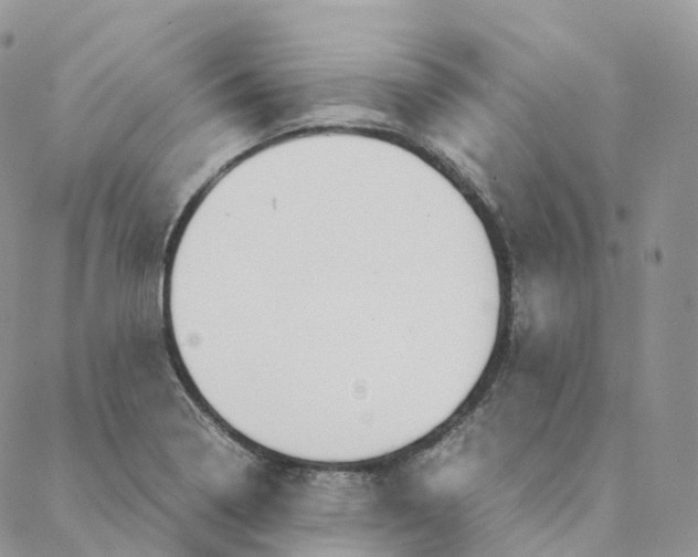 X0000088361322200706121045