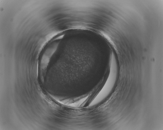 X0000088361323200706121045