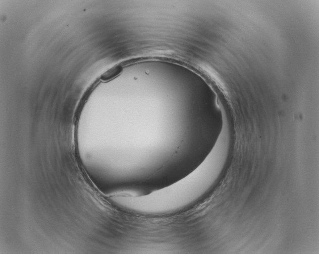 X0000088361324200706121045