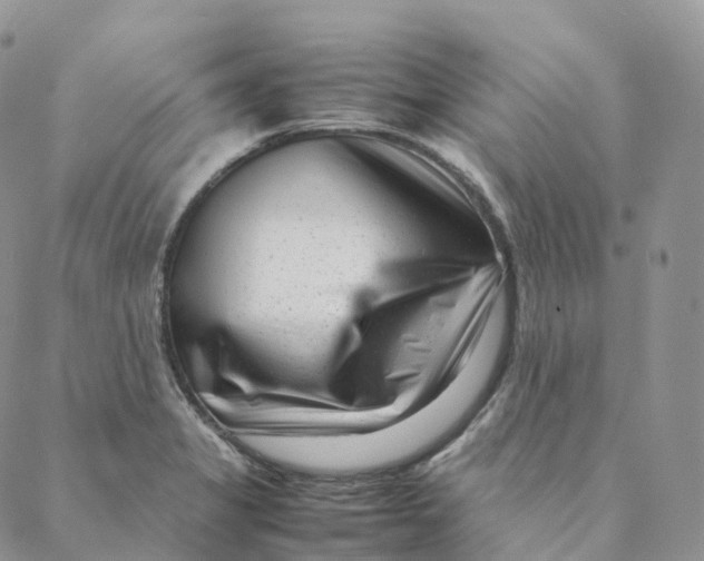 X0000088361325200706121045