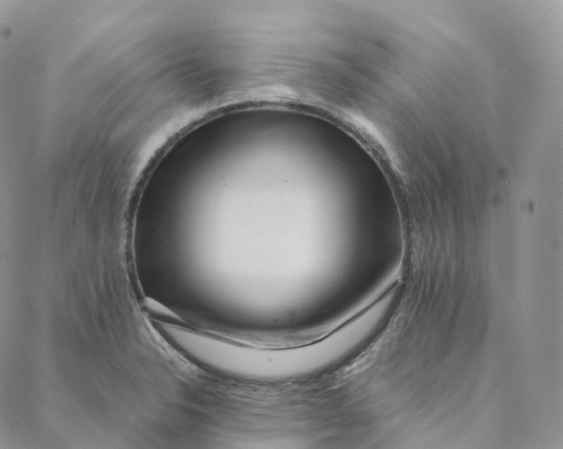 X0000088361326200706121045