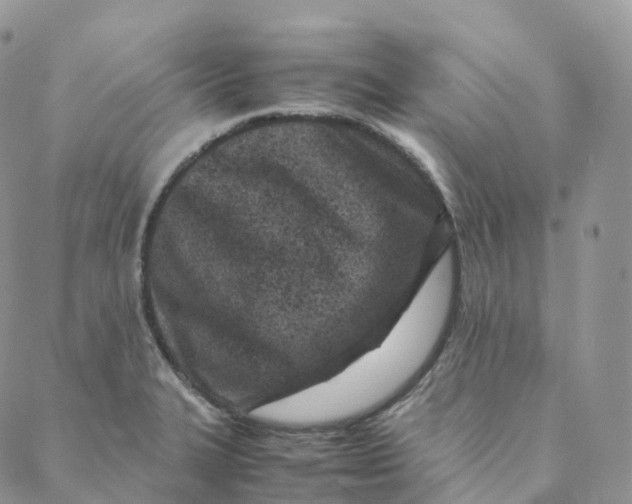 X0000088361327200706121045