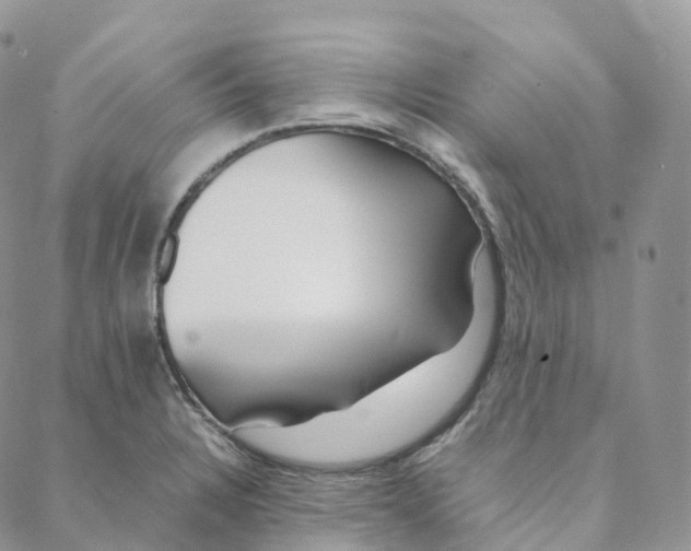 X0000088361328200706121045