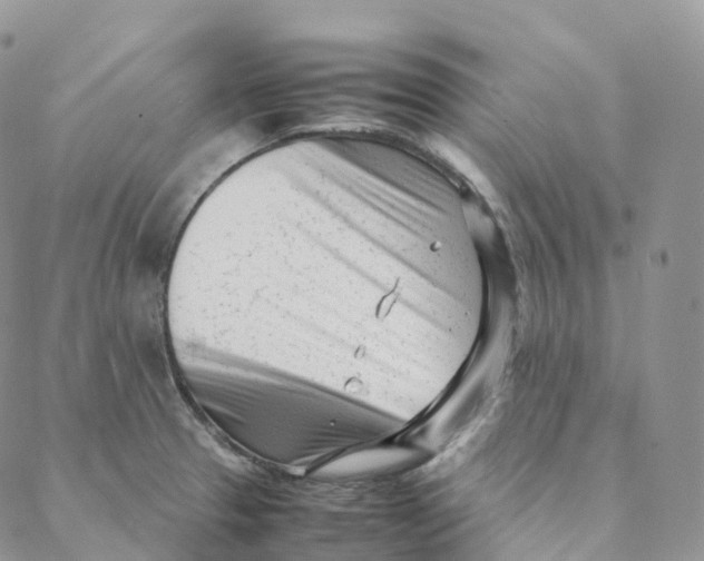 X0000088361329200706121045