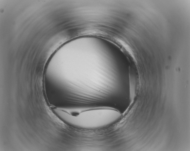 X0000088361330200706121045