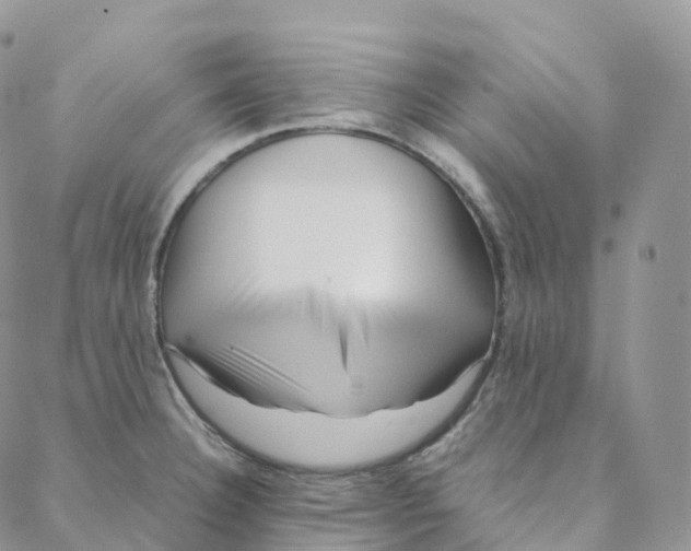 X0000088361332200706121045