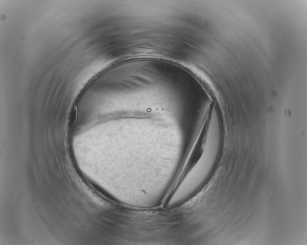 X0000088361333200706121045