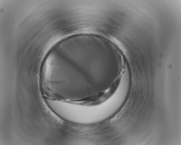 X0000088361334200706121045