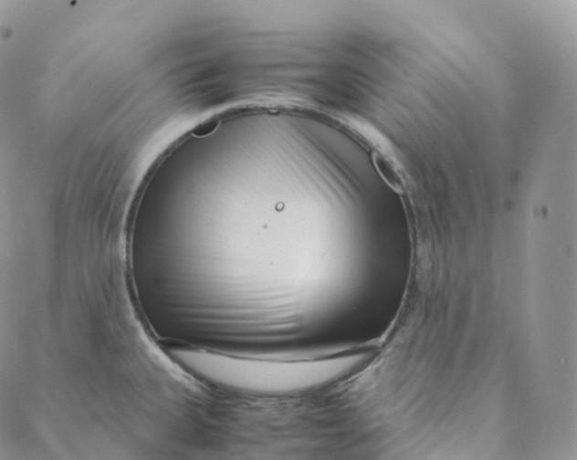 X0000088361335200706121045