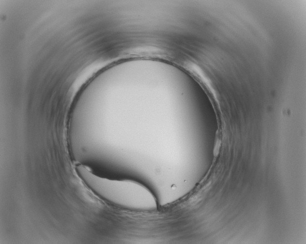 X0000088361336200706121045