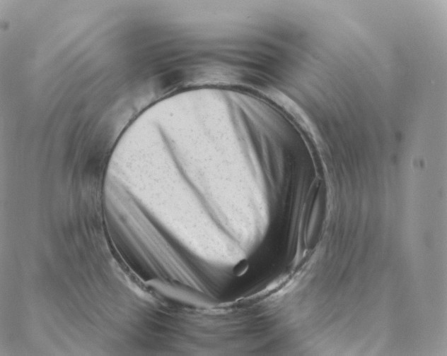 X0000088361337200706121045