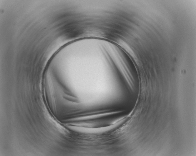 X0000088361339200706121045