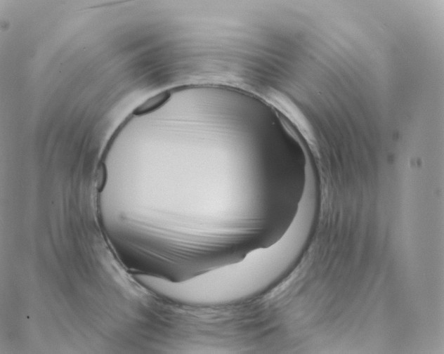 X0000088361340200706121045