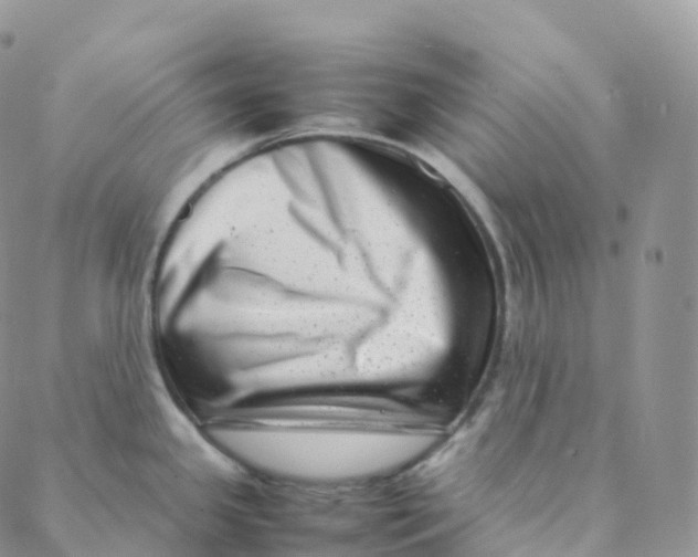 X0000088361341200706121045