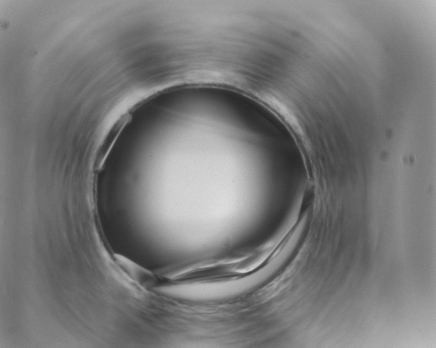 X0000088361342200706121045