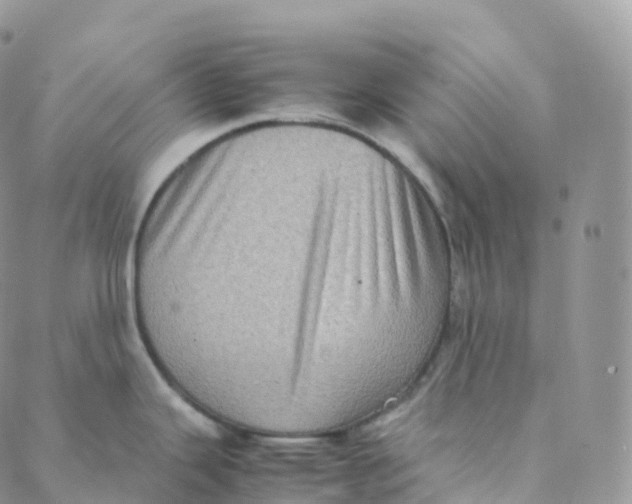 X0000088361343200706121045