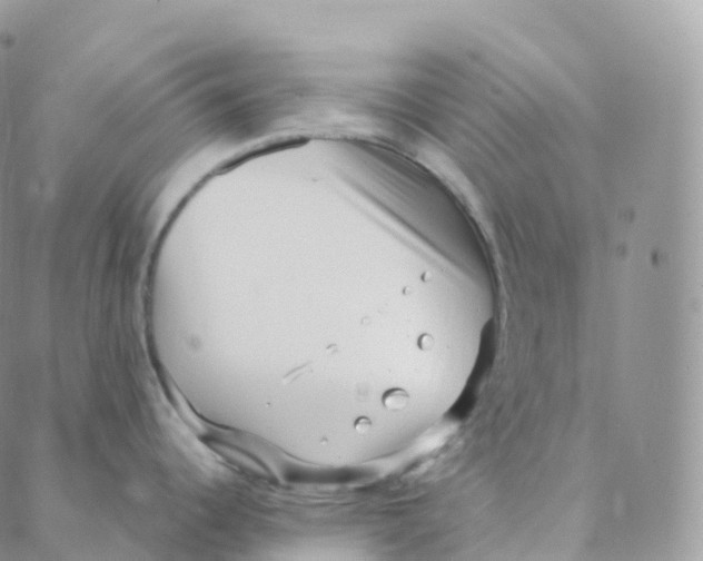 X0000088361344200706121045