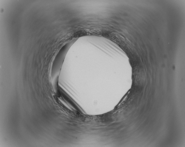 X0000088361345200706121045