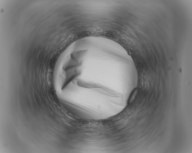 X0000088361346200706121045