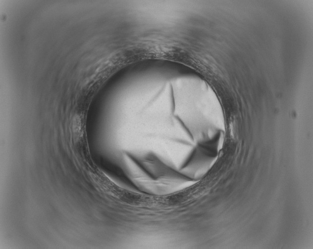 X0000088361347200706121045