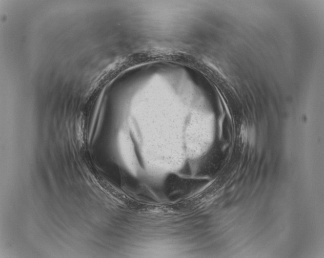 X0000088361348200706121045