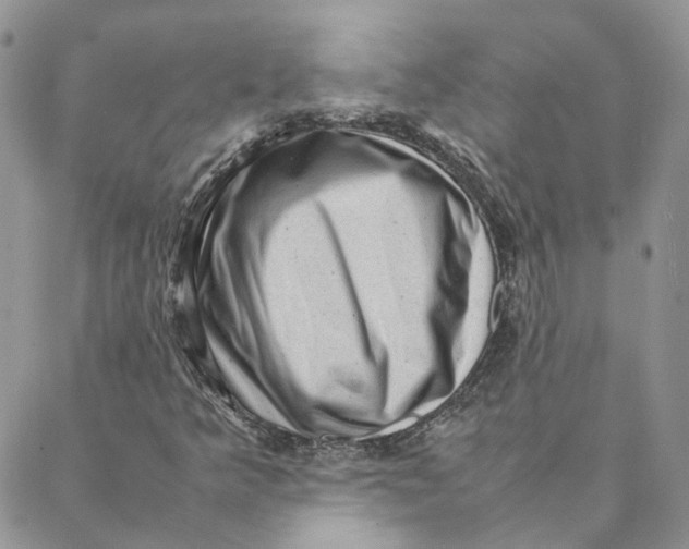 X0000088361349200706121045