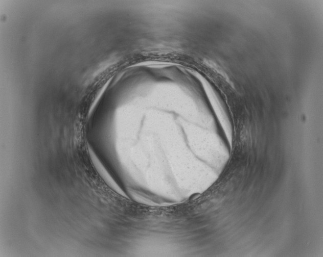 X0000088361350200706121045