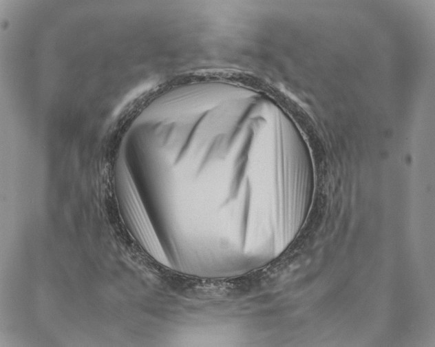 X0000088361351200706121045