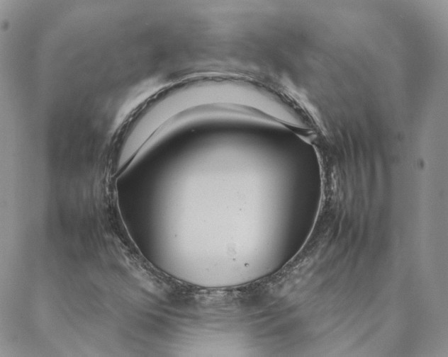 X0000088361352200706121045