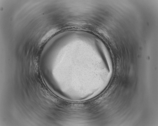 X0000088361354200706121045