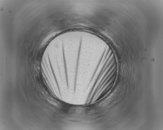 X0000088361355200706121045